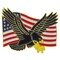 American Flag with Eagle Pin 1 1/8&#x22;